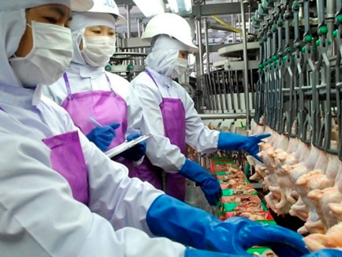 禽肉行业客户